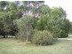 114 Tasman Highway, Bicheno TAS 7215