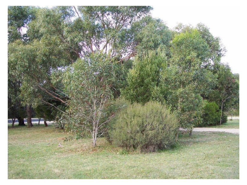 114 Tasman Highway, Bicheno TAS 7215