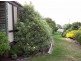 25 Burgess, Bicheno TAS 7215