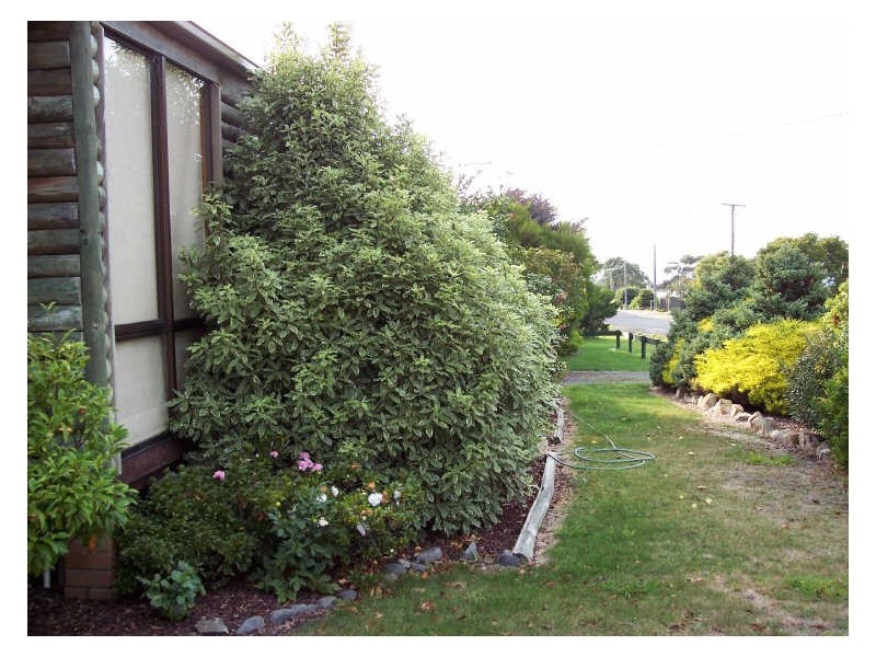 25 Burgess, Bicheno TAS 7215