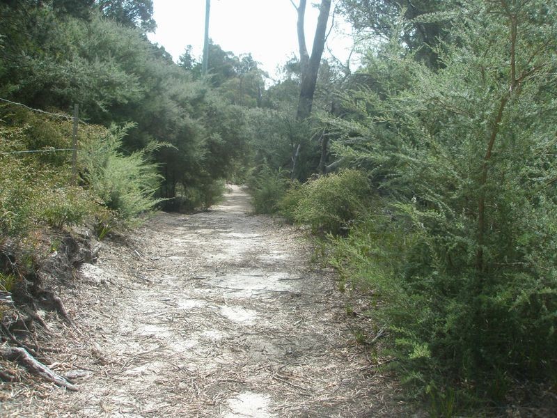 Malunna Road The Fisheries, Coles Bay TAS 7215