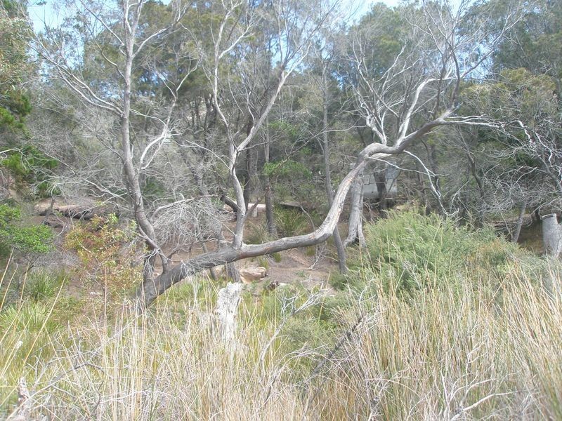 Malunna Road The Fisheries, Coles Bay TAS 7215