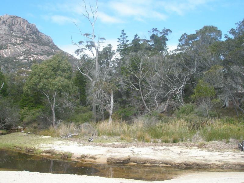 Malunna Road The Fisheries, Coles Bay TAS 7215