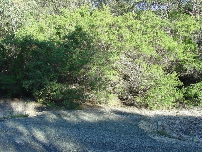 238 Harveys Farm Road, Bicheno TAS 7215