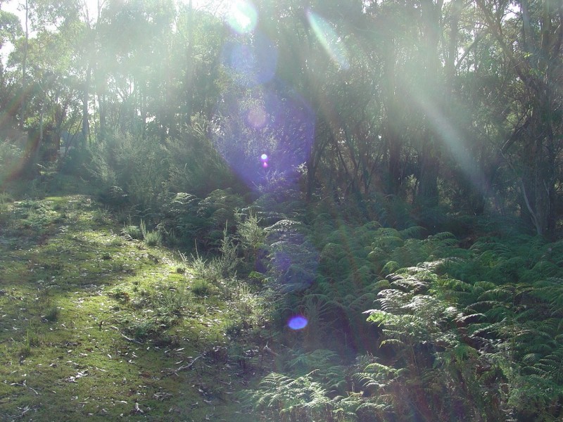 238 Harveys Farm Road, Bicheno TAS 7215