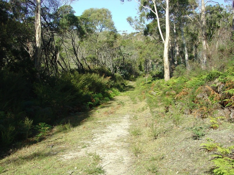 238 Harveys Farm Road, Bicheno TAS 7215