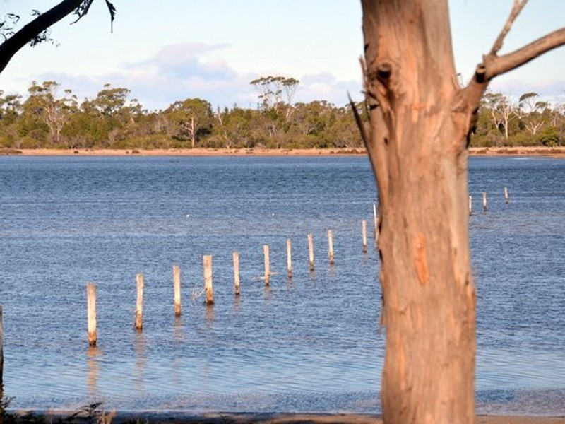 89 Flacks Road, Coles Bay TAS 7215