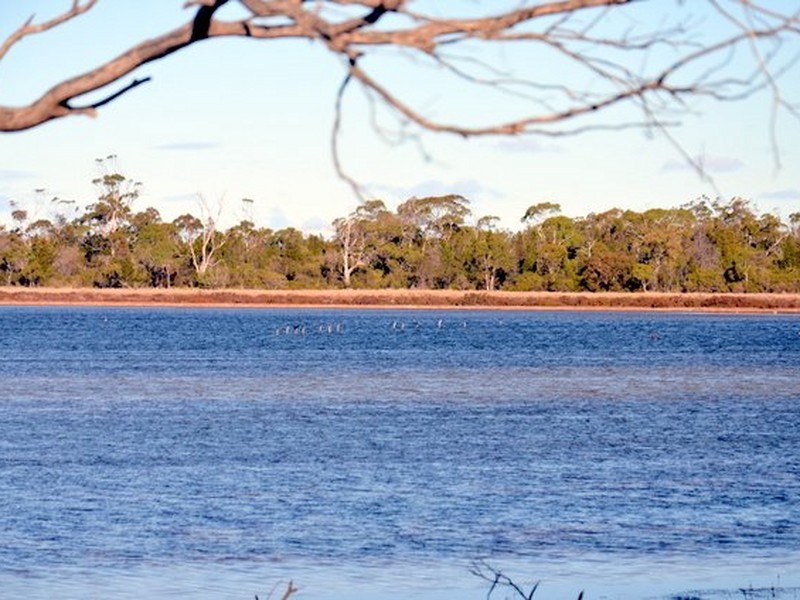 89 Flacks Road, Coles Bay TAS 7215