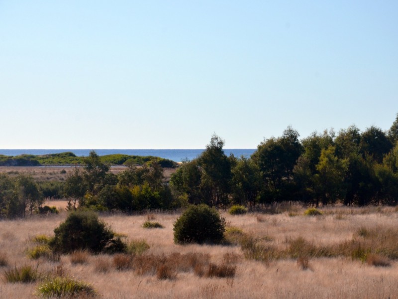 39 Macquarie Street, Seymour TAS 7215