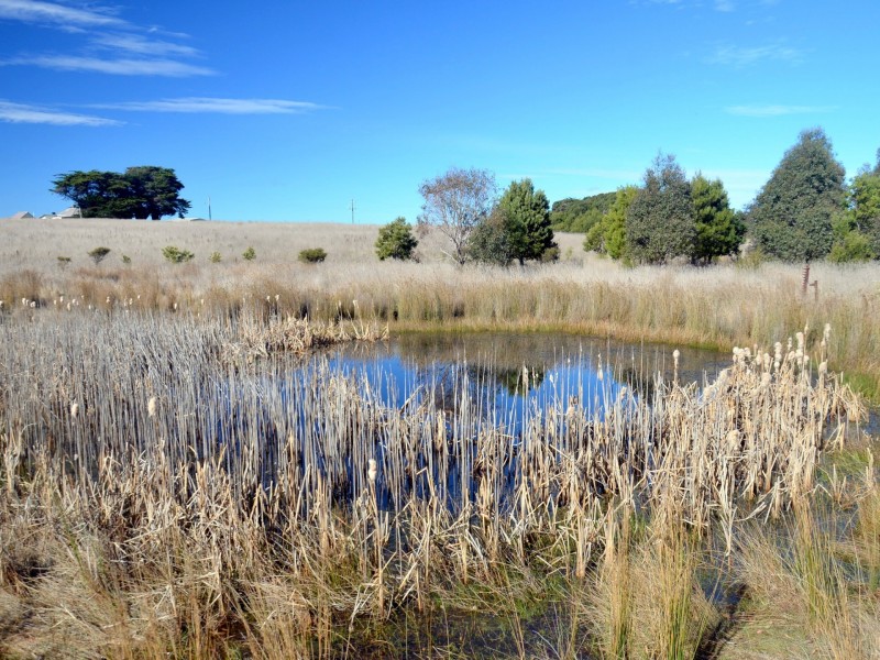 39 Macquarie Street, Seymour TAS 7215