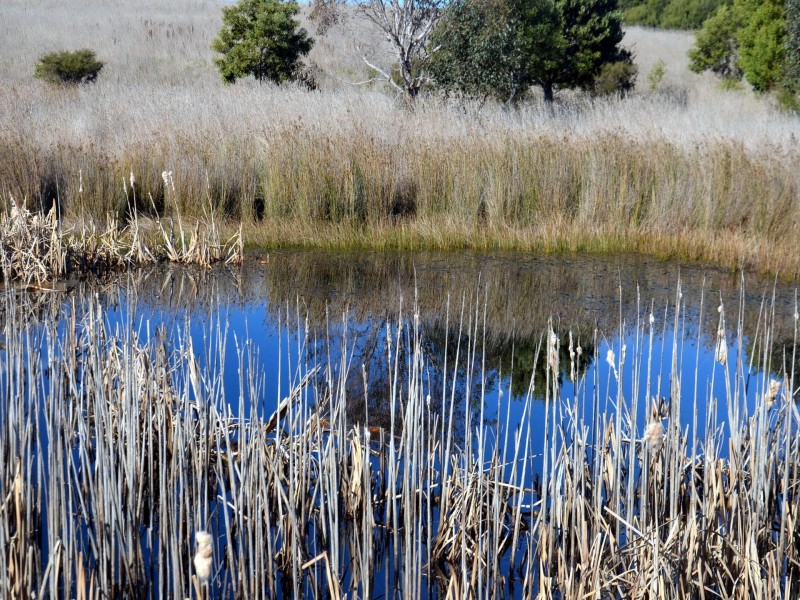 39 Macquarie Street, Seymour TAS 7215