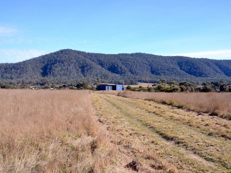 39 Macquarie Street, Seymour TAS 7215