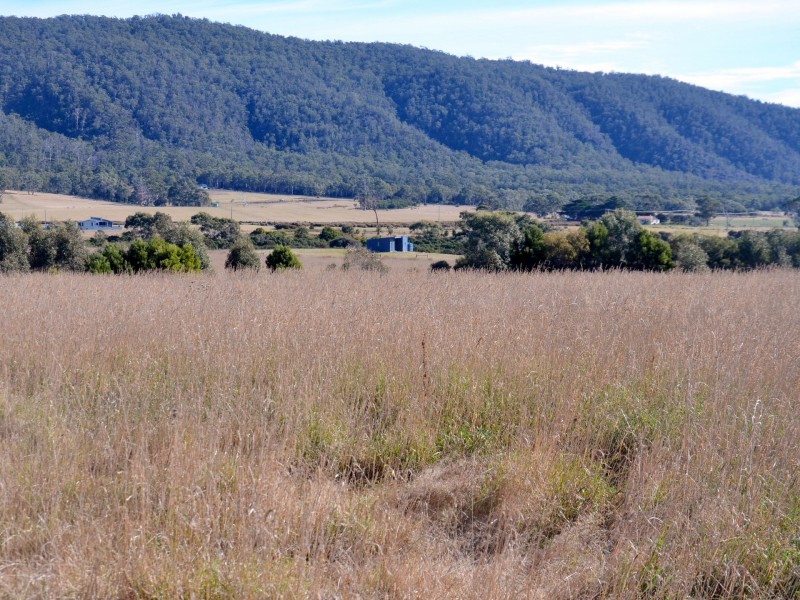 39 Macquarie Street, Seymour TAS 7215