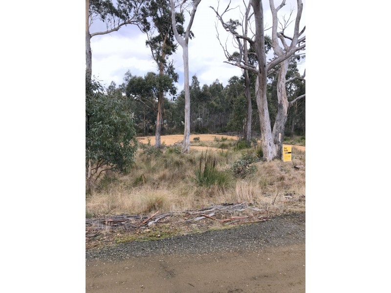 1 Brewis Place, Lake Leake TAS 7210
