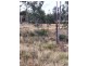 1 Brewis Place, Lake Leake TAS 7210