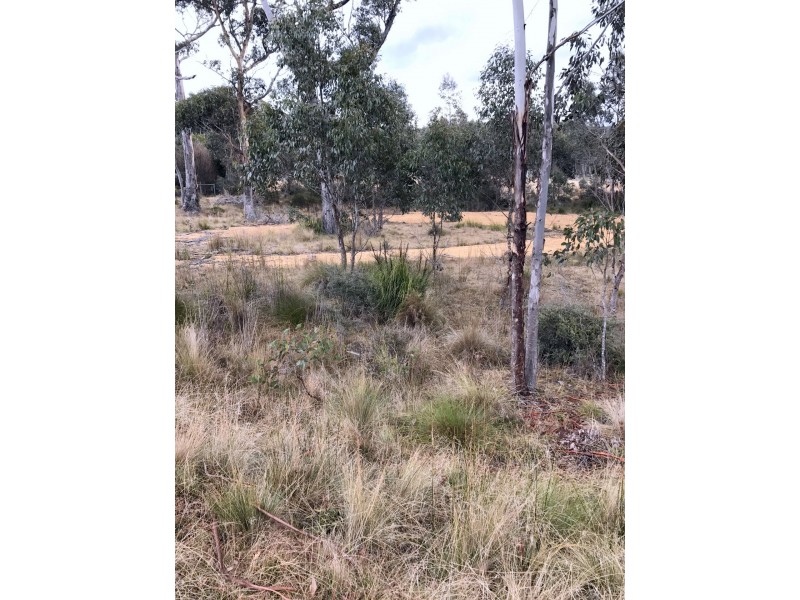 1 Brewis Place, Lake Leake TAS 7210