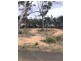 1 Brewis Place, Lake Leake TAS 7210