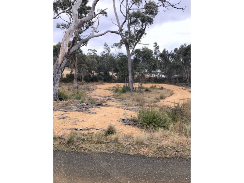 1 Brewis Place, Lake Leake TAS 7210