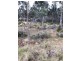 1 Brewis Place, Lake Leake TAS 7210