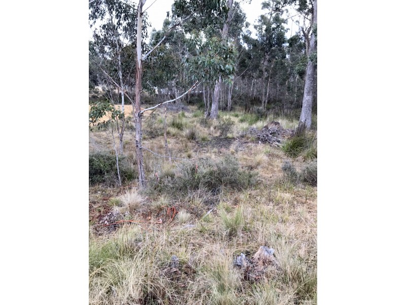 1 Brewis Place, Lake Leake TAS 7210