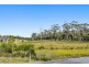 50 Harveys Farm Road, Bicheno TAS 7215