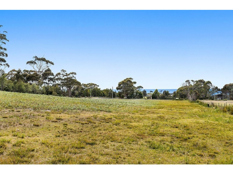 50 Harveys Farm Road, Bicheno TAS 7215