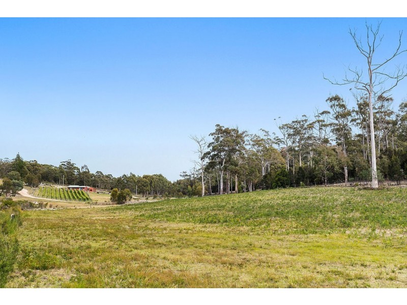 50 Harveys Farm Road, Bicheno TAS 7215