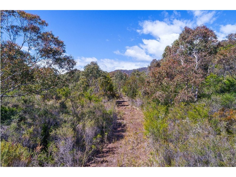 Lot 2/286 Harveys Farm Road, Bicheno TAS 7215