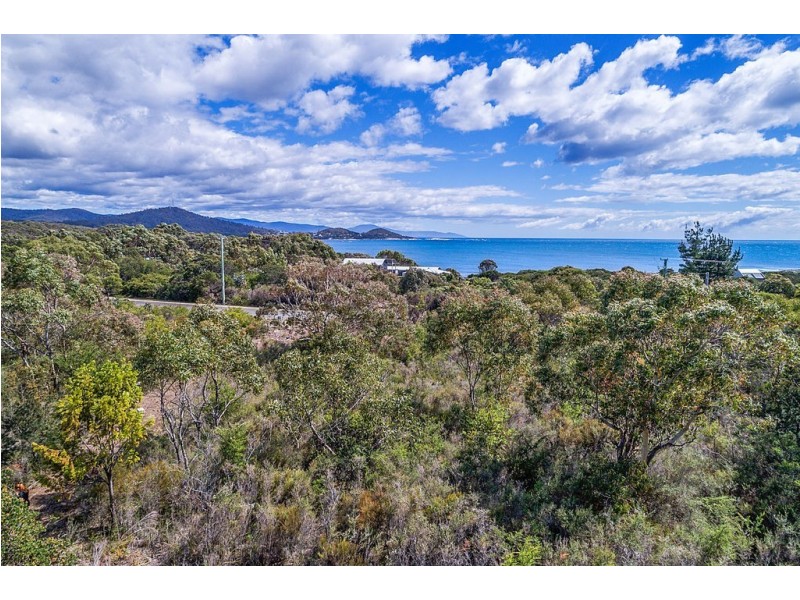 Lot 2/286 Harveys Farm Road, Bicheno TAS 7215
