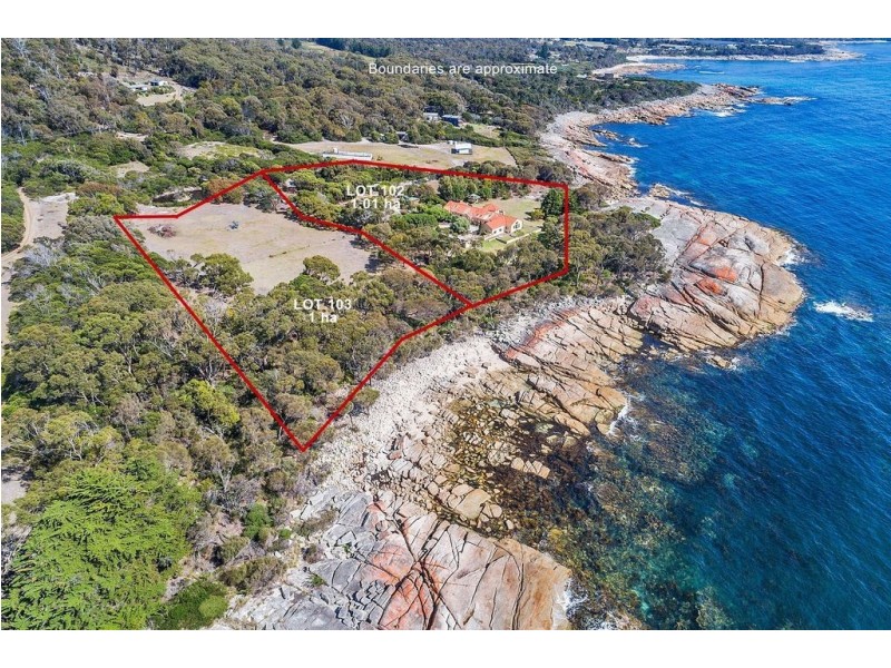 Lot 102/205 Harveys Farm Road, Bicheno TAS 7215