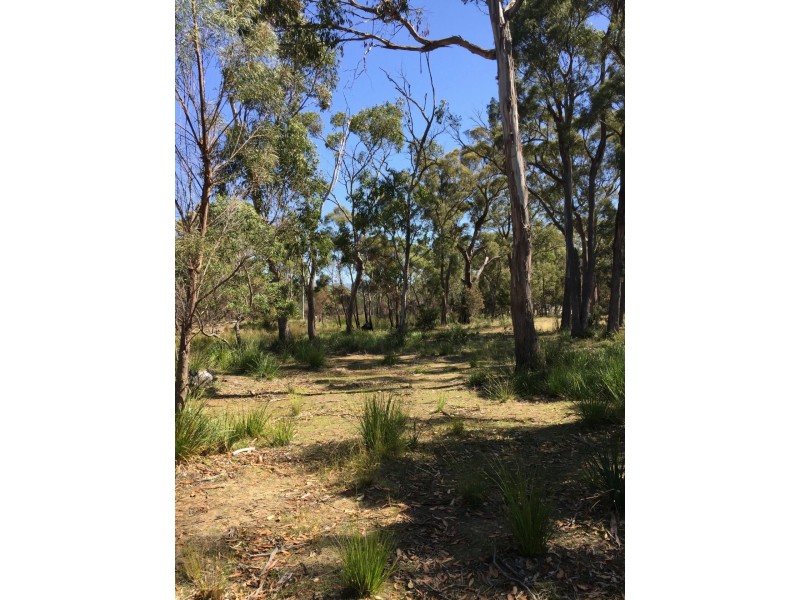 174 Rosedale Road, Bicheno TAS 7215