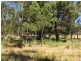 174 Rosedale Road, Bicheno TAS 7215