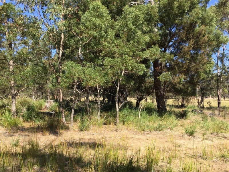 174 Rosedale Road, Bicheno TAS 7215