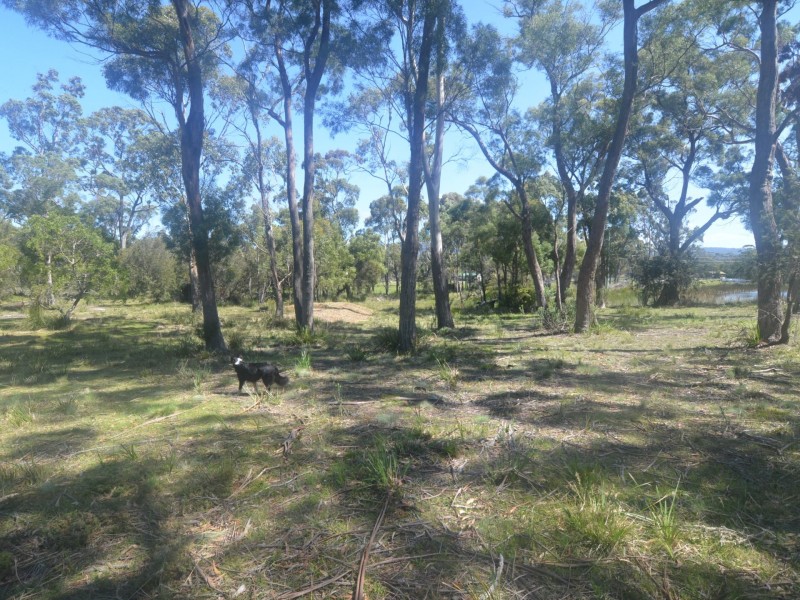 174 Rosedale Road, Bicheno TAS 7215