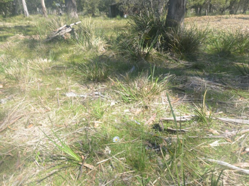 174 Rosedale Road, Bicheno TAS 7215