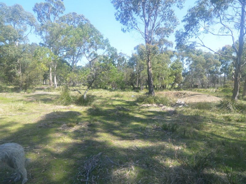 174 Rosedale Road, Bicheno TAS 7215