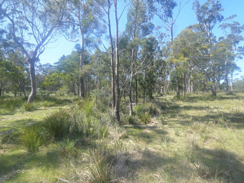 174 Rosedale Road, Bicheno TAS 7215