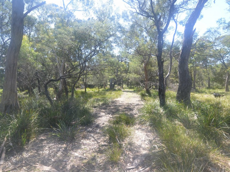 174 Rosedale Road, Bicheno TAS 7215