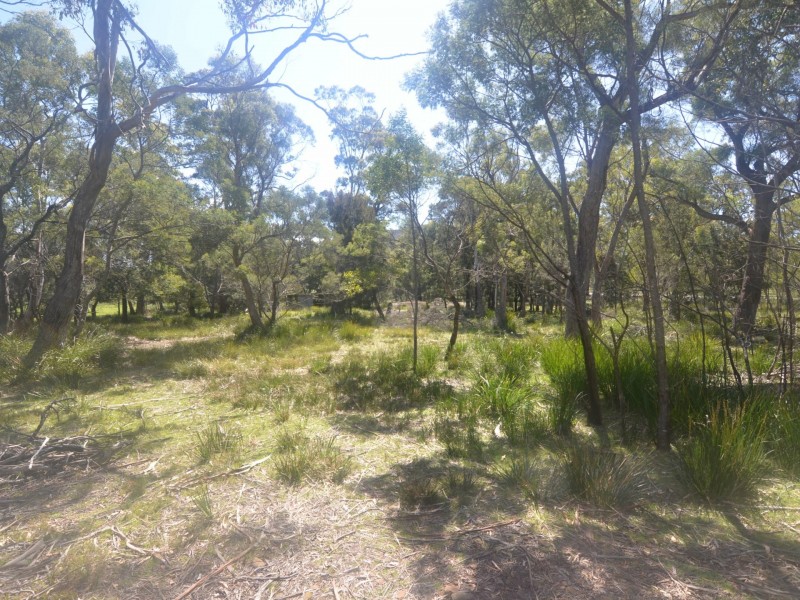 174 Rosedale Road, Bicheno TAS 7215