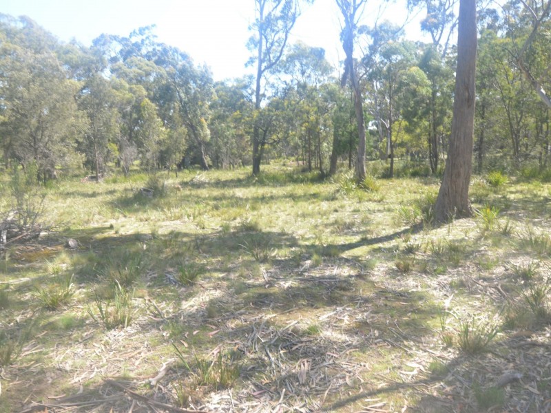 174 Rosedale Road, Bicheno TAS 7215