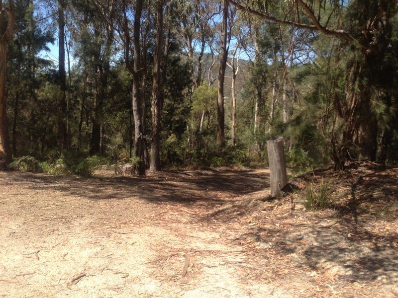 17519 Tasman Highway, Bicheno TAS 7215