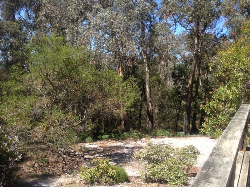 17519 Tasman Highway, Bicheno TAS 7215