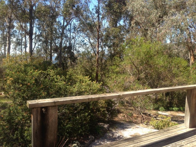 17519 Tasman Highway, Bicheno TAS 7215