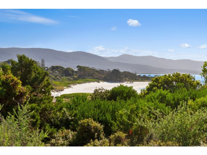 14 Redbill, Bicheno TAS 7215