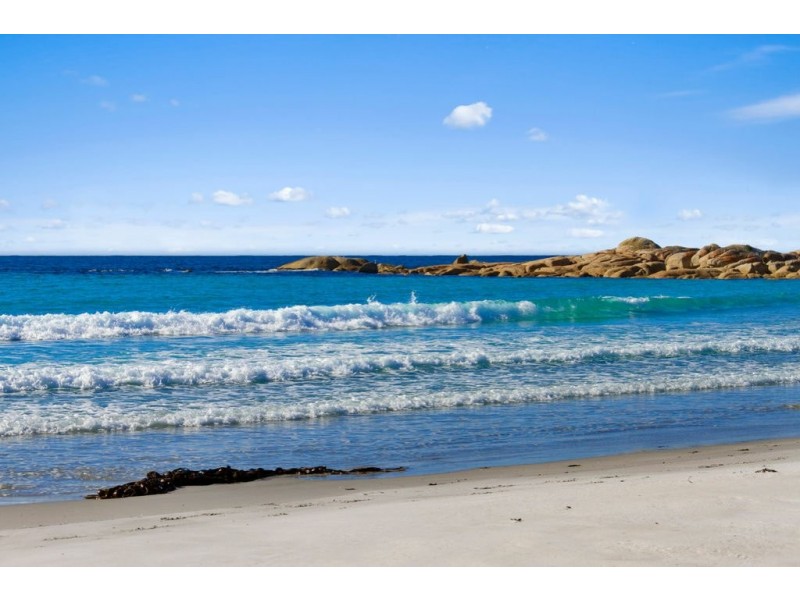 14 Redbill, Bicheno TAS 7215