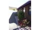 16 Tribe Street, Bicheno TAS 7215