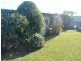 3 Fraser Street, Bicheno TAS 7215