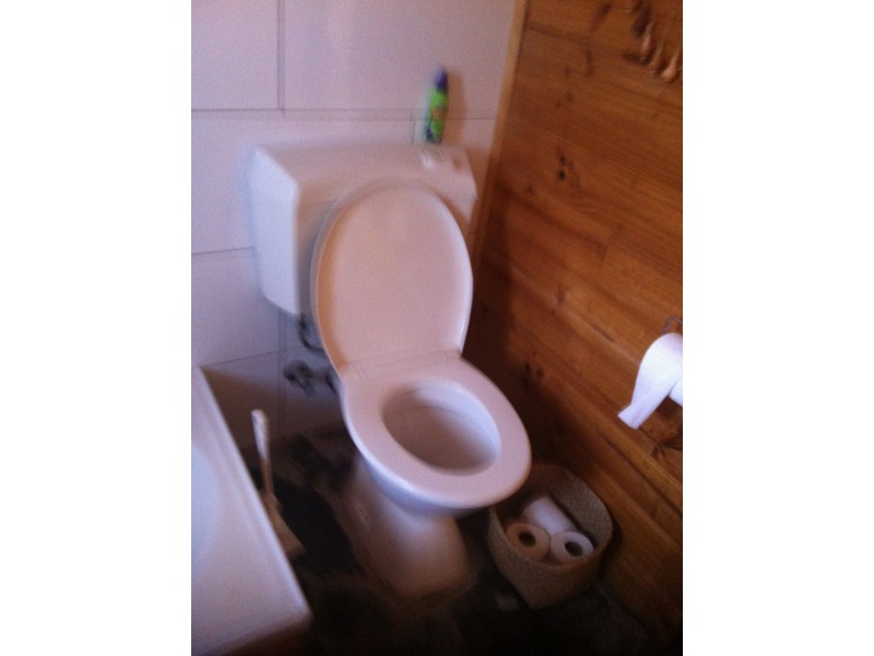 17 Levy Street, Bicheno TAS 7215