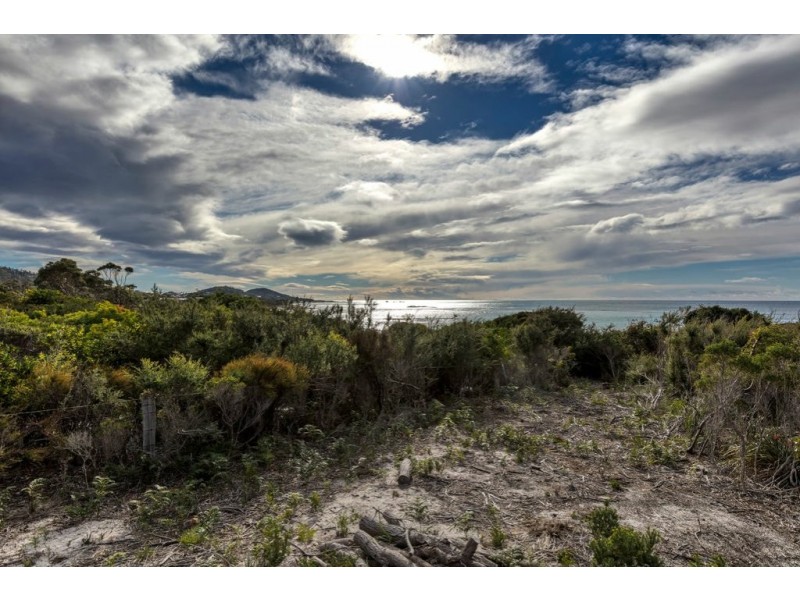 Lot 101/141 Harveys Farm Road, Bicheno TAS 7215