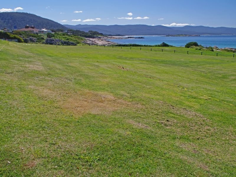 10 Jetty Rd, Bicheno TAS 7215
